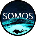 Somos